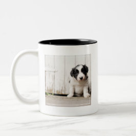 Taza Bicolor Perrito del border collie