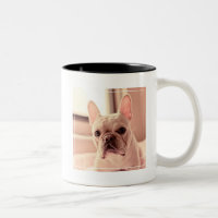 Perrito del bulldog francés