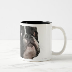 Taza Bicolor Perrito del bulldog francés (5 meses)