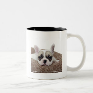 Taza Bicolor Perrito del bulldog francés que miente en una cam
