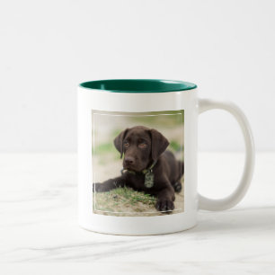 Taza Bicolor Perrito del laboratorio del chocolate