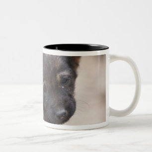 Taza Bicolor Perrito desesperado