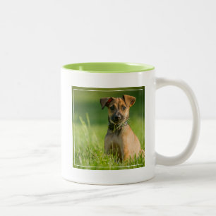 Taza Bicolor Perrito en la hierba