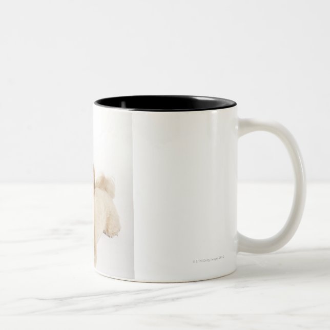 Taza Bicolor Perrito (familiaris del Canis) 2 (Derecha)
