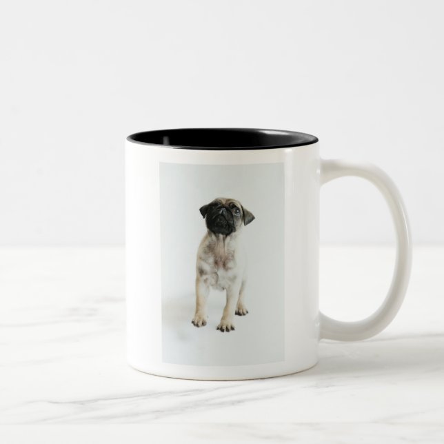 Taza Bicolor Perrito lindo del barro amasado (Derecha)