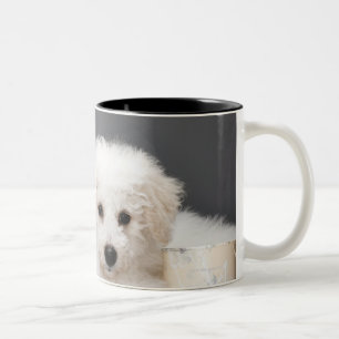 Taza Bicolor Perrito que se sienta entre las latas de la