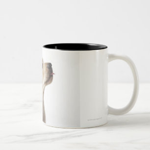 Taza Bicolor Perrito rubio de Labrador que pega hacia fuera la