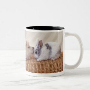 Taza Bicolor Perrito y conejo