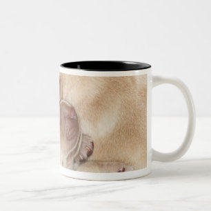 Taza Bicolor Perritos amarillos del labrador retriever, 10 día