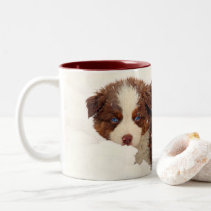 Taza Bicolor Perritos australianos del pastor