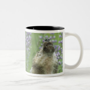 Taza Bicolor Perritos de lobo que gritan en prado