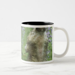 Taza Bicolor Perritos de lobo que gritan en prado
