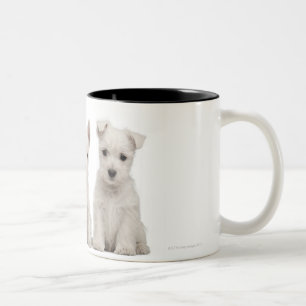 Taza Bicolor Perritos del oeste de Terrier de la montaña (7