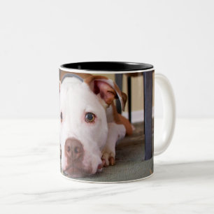 Taza Bicolor Perro