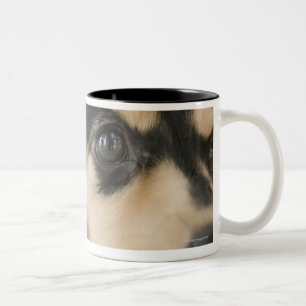 Taza Bicolor Perro