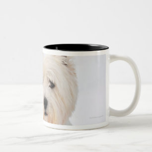 Taza Bicolor Perro blanco en ropa en la nieve
