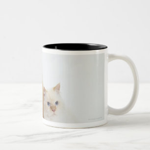 Taza Bicolor Perro chino de perro chino y un gato blanco que se