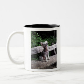 Taza Bicolor Perro con cresta chino