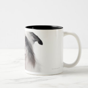 Taza Bicolor Perro con cresta chino (7 meses)
