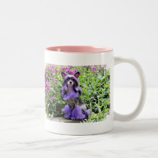 Taza Bicolor Perro con cresta chino púrpura en flores rosadas