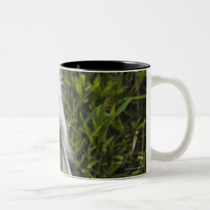 Taza Bicolor Perro con el correo en boca