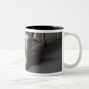 Taza Bicolor Perro con el cuenco de la diva, piso el oler