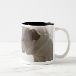 Taza Bicolor Perro con el pato plástico