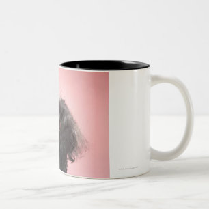 Taza Bicolor Perro con el pelo delante de la cara y de la