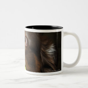 Taza Bicolor Perro con la pelota de tenis