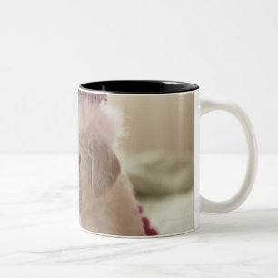 Taza Bicolor Perro con las decoraciones en cama