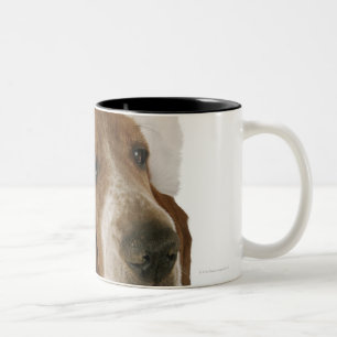 Taza Bicolor Perro de afloramiento en el gorra de Santa