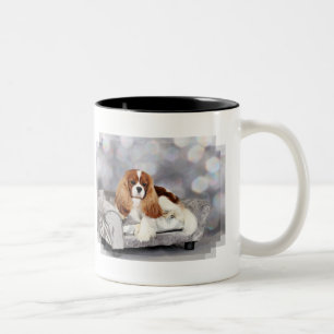 Taza Bicolor Perro de aguas de rey Charles arrogante - Ethan
