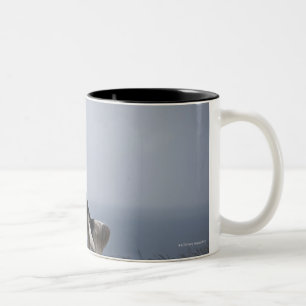 Taza Bicolor perro de aguas de saltador blanco y negro que