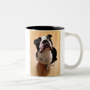 Taza Bicolor Perro de Boston Terrier