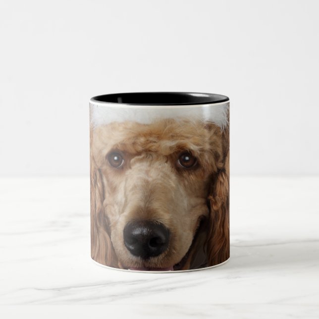 Taza Bicolor Perro de caniche de oro que lleva un traje blanco (Centro)