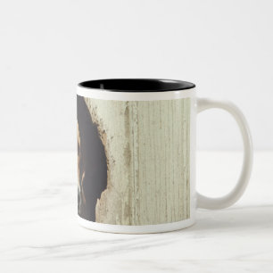 Taza Bicolor Perro de caza en casa de perro