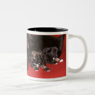 Taza Bicolor Perro de la madre con los perritos