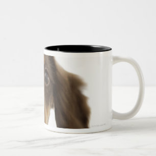 Taza Bicolor Perro de la salchicha de Frankfurt (marrón) 2
