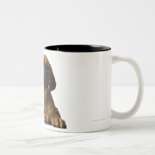 Taza Bicolor Perro de perrito