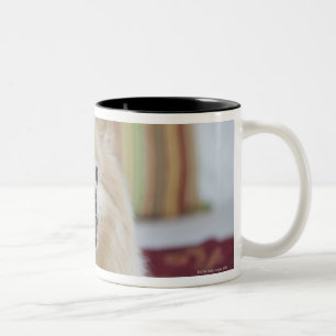 Taza Bicolor Perro de Pomeranian en la habitación amistosa del