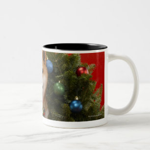 Taza Bicolor Perro de Shiba Inu que se sienta en guirnalda del