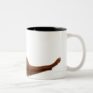 Taza Bicolor Perro de Vizsla