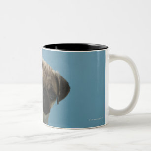 Taza Bicolor Perro del barro amasado que se sienta en cama por