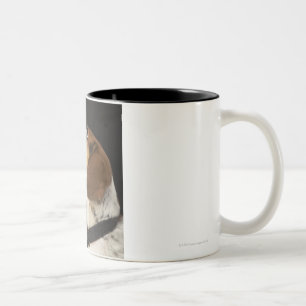 Taza Bicolor Perro del beagle con perfil negro del cuello