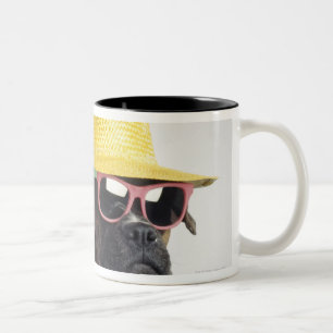 Taza Bicolor Perro del boxeador con el gorra y los vidrios