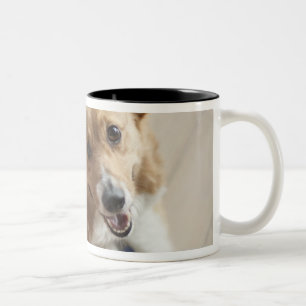 Taza Bicolor Perro del corgi del Pembroke Galés que miente en