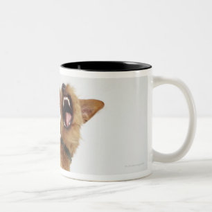 Taza Bicolor Perro del gruñido