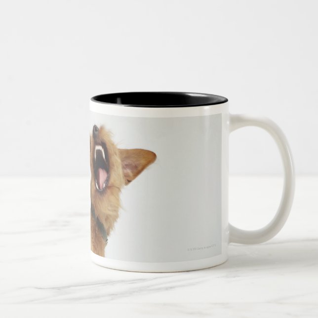 Taza Bicolor Perro del gruñido (Derecha)