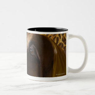 Taza Bicolor Perro del sabueso