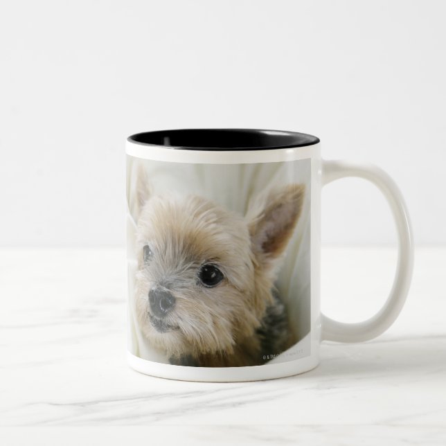 Taza Bicolor Perro en cama (Derecha)